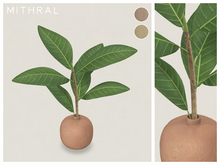 Mithral * Ficus Drupacea Vase (Pack B)