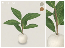 Mithral * Ficus Drupacea Vase (Pack A)