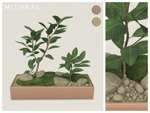 Mithral * Ficus Drupacea Planter (Pack B)