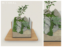 Mithral * Drupacea Terrarium (Natural Wood)