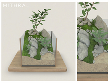 Mithral * Drupacea Terrarium (Light Wood)