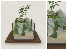 Mithral * Drupacea Terrarium (Dark Wood)