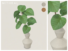 Mithral * Ficus Umbellata Vase Fat Pack