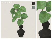 Mithral * Ficus Umbellata Vase (Pack C)