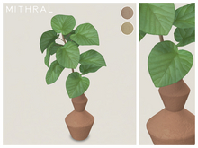 Mithral * Ficus Umbellata Vase (Pack B)