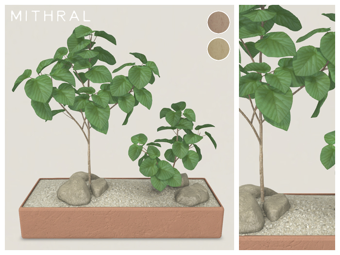 Mithral * Ficus Umbellata Planter (Pack B)