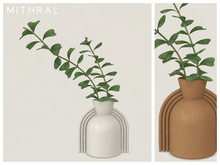 Mithral * Hoya Manipurensis Vase (Pack A)