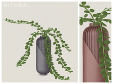 Mithral * Hoya Chinghungensis Vase (Pack D)