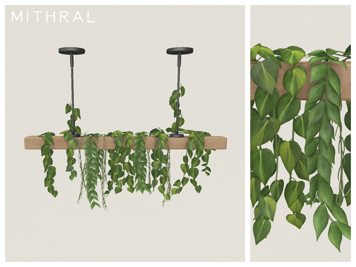 Mithral * Plant Draped Ceiling Display (Natural Wood)
