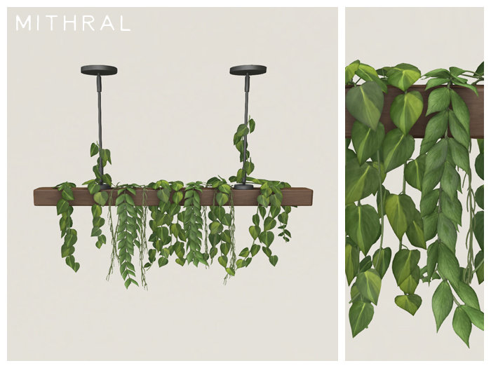 Mithral * Plant Draped Ceiling Display (Dark Wood)