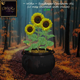 ~WiRa~ Sunflower Cauldron (Box)