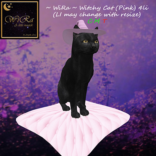 ~WiRa~ Witchy Cat (Pink) (Box)