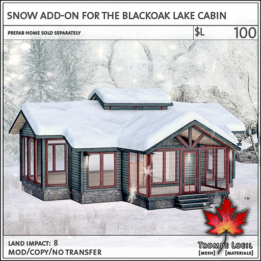 Trompe Loeil - Snow Add-On for the Blackoak Lake Cabin [mesh]