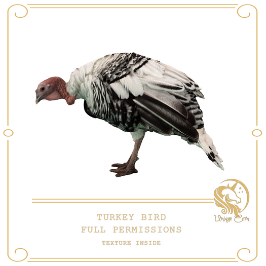 Full Perm Turkey Bird