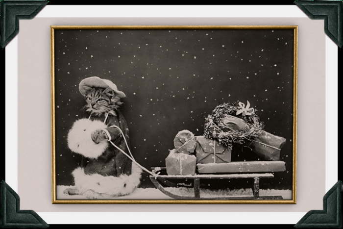 floorplan. xmas print / cat [box]