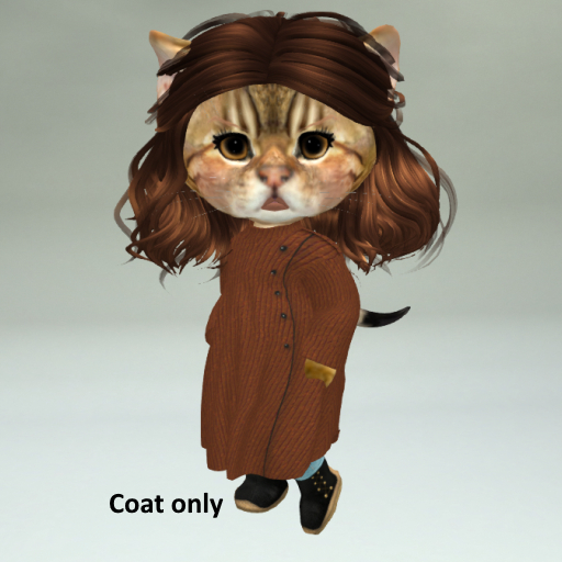 MMT Brown Coat