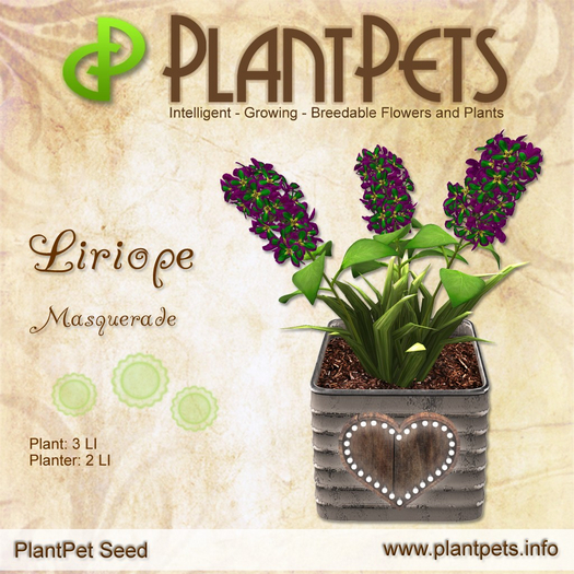PlantPet Seed [Liriope *Masquerade*]