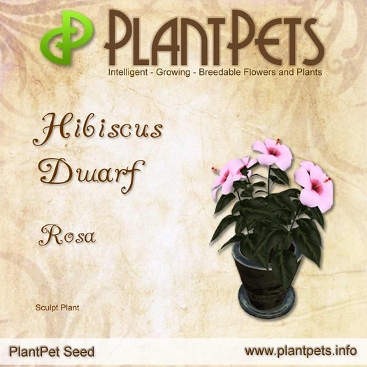 PlantPet Seed [Hibiscus Dwarf *Rosa*]
