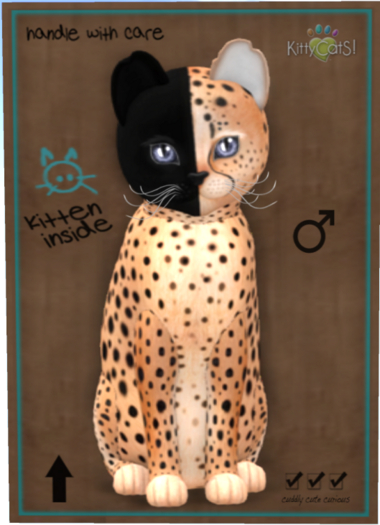 KittyCatS Box - Chimera - Spotted Flame