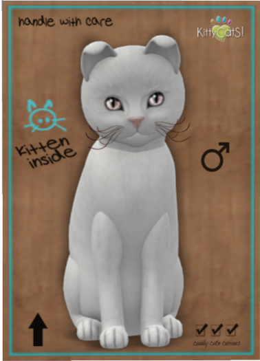 KittyCatS Box - Russian - White