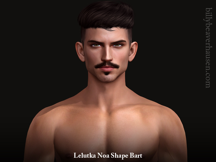 Lelutka Noa Shape Bart