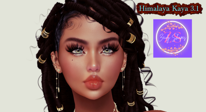 Shape Himalaya Kaya 3.1