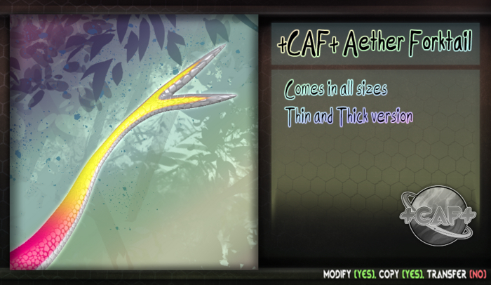 +CAF+ Aether Forkail