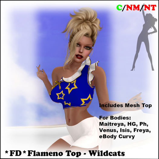 *FD* Flamenco Top [Boxed] Wildcats