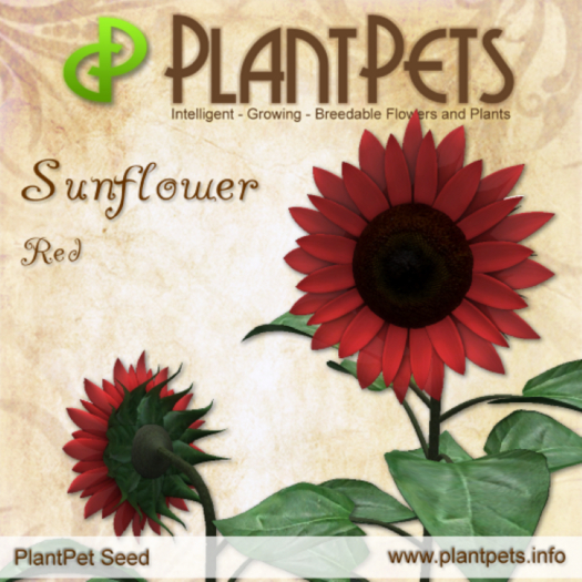 PlantPet Seed [Sunflower *Red*] 