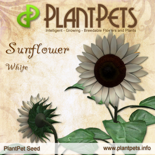 PlantPet Seed [Sunflower *White*] 