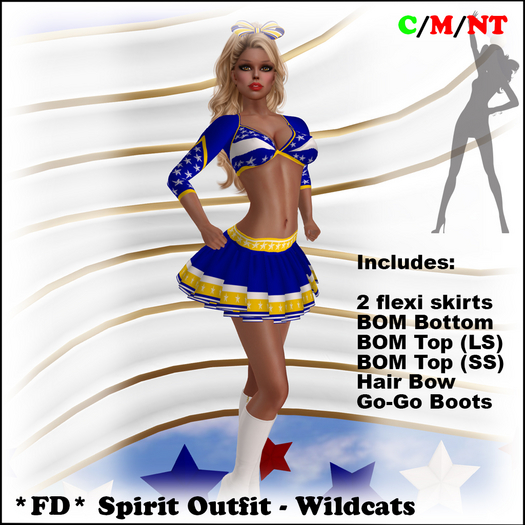 *FD*  Spirit Oufit [BOXED] Wildcats