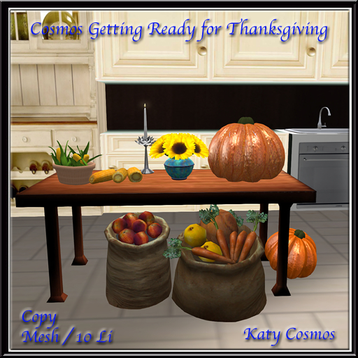 Cosmos Getting Ready for Thanksgiving MESH (BOX)