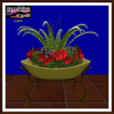 Christmas - Arrangement with Fern Lights and Poinsettias
