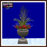 Christmas - Urn with Lights and Poinsettias