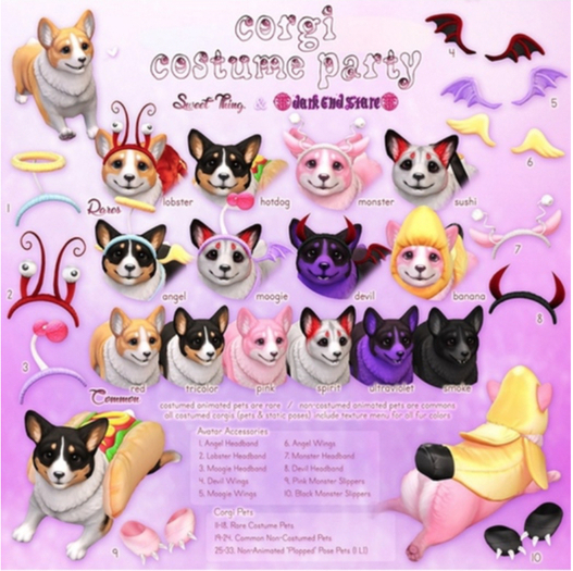 Sweet Thing. & darkendStare - Tricolor Corgi Pet