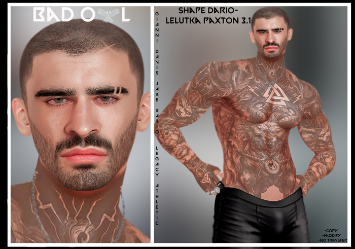 SHAPE DARIO-LELUTKA PAXTON 3.1