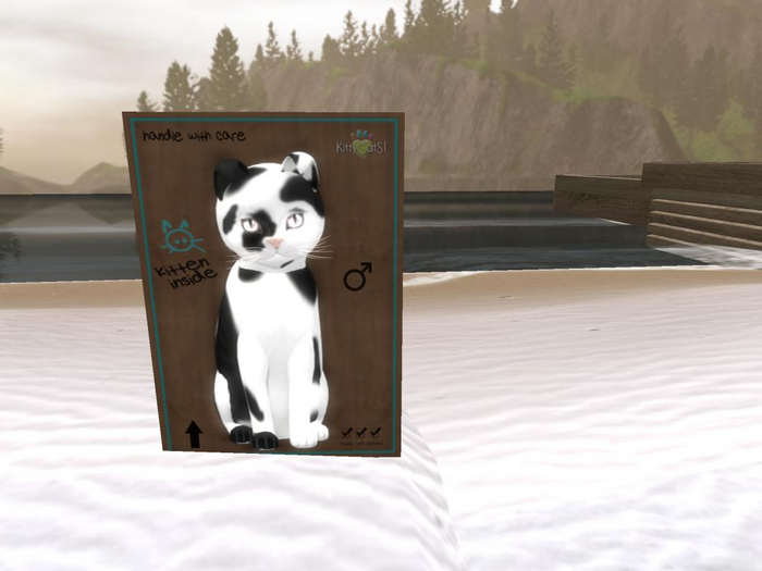 KittyCatS Box - 9T Chateau Cat - Black  & White No 1