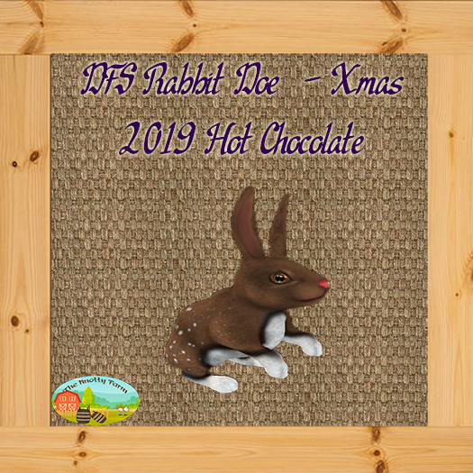 DFS Rabbit Doe  - Xmas 2019 (Hot Chocolate)