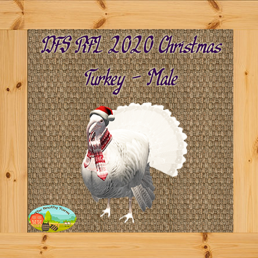 DFS RFL 2020 Christmas Turkey - Male