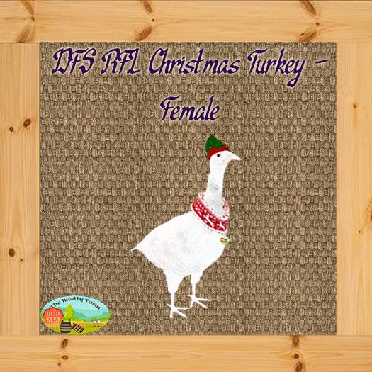 DFS RFL Christmas Turkey - Female 2019