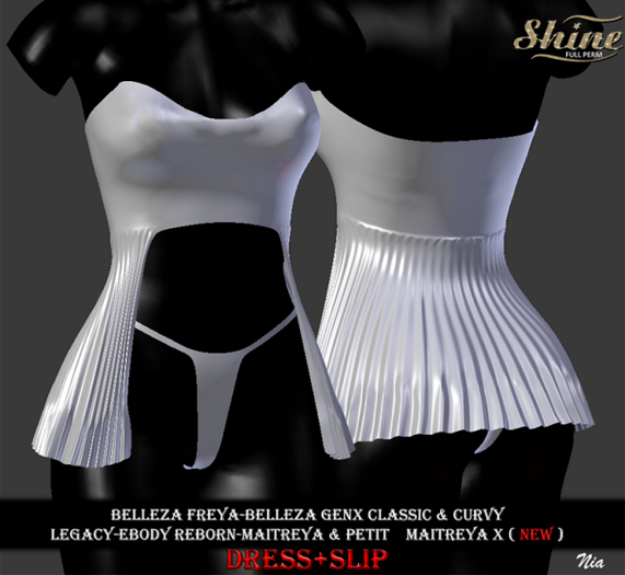 [SHINE FULL PERM]  DRESS + SLIP NIA