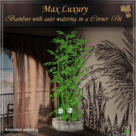 Max Luxury - Bamboo with auto watering in a Corner Pot