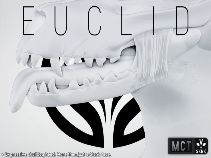 SKNK: Euclid Head