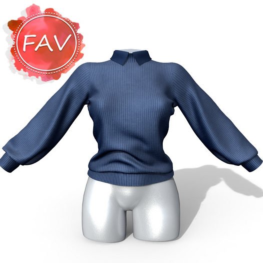 Blue Sweater GenX Curvy