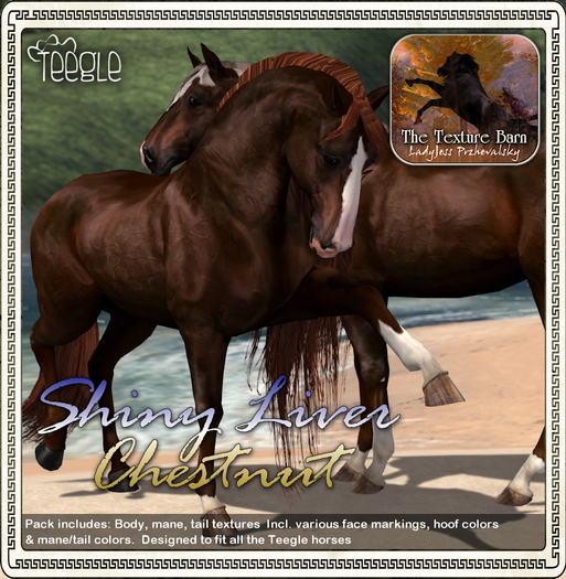 Texture Barn: Shiny Liver Chestnut for Teegle Horses & Pets