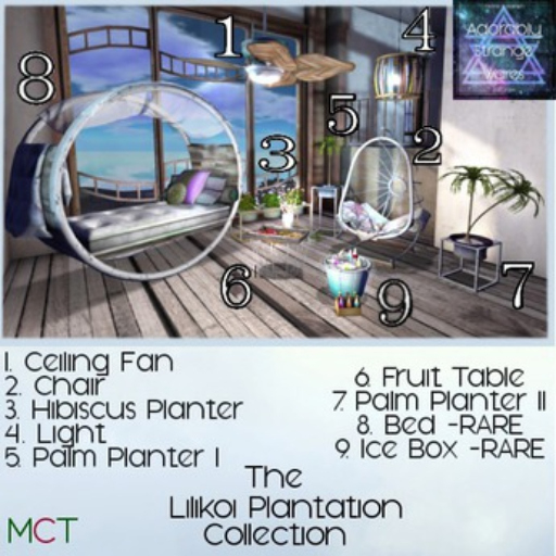 ~ASW~ The Lilikoi Plantation Palm Planter II