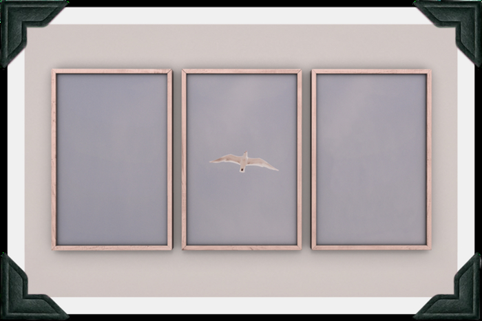 floorplan. triple print / seagull [box]