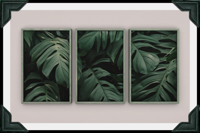 floorplan. triple print / monstera [box]