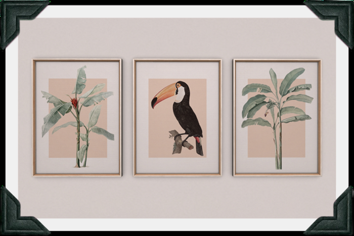 floorplan. tri-frame / toucan [box]