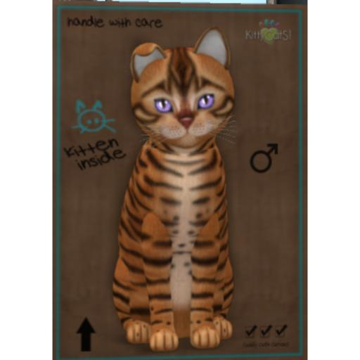 KittyCatS Box - New Born Kitten-Fur: Toyger Caramel-Tail Lush-Toy 